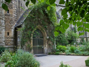 1097-1615-20120523_120157