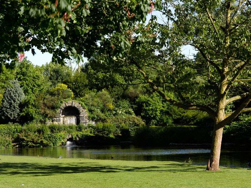 dog friendly park london