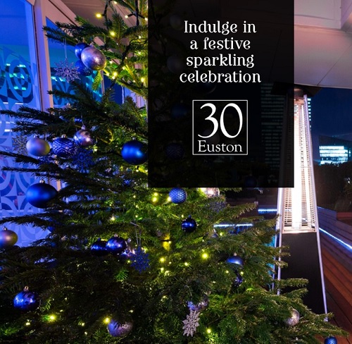 Have A Merry Sparkling Christmas Party 30 Euston Square - Best Venues London