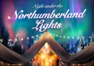 northern lights christmas party