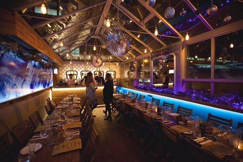 Observatory - seated